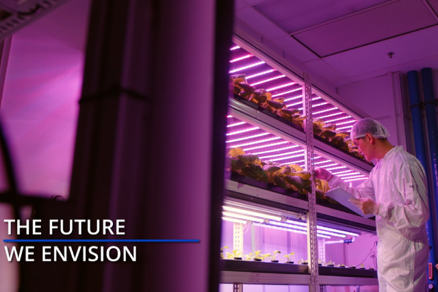Questions To Ask Yourself Before Starting A Hydroponics Setup