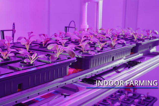 The Important Role Of Nutrients In Hydroponic Gardening