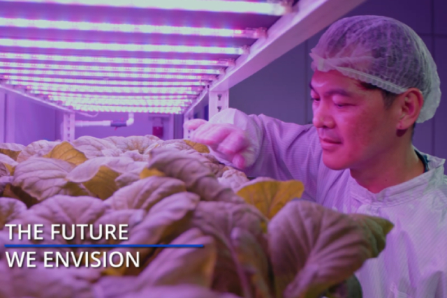 5 Ways To Avoid Common Hydroponic Gardening Pitfalls